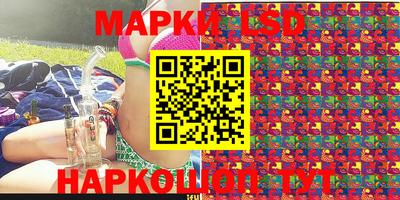 ПСИЛОЦИБИНОВЫЕ ГРИБЫ Краснодар