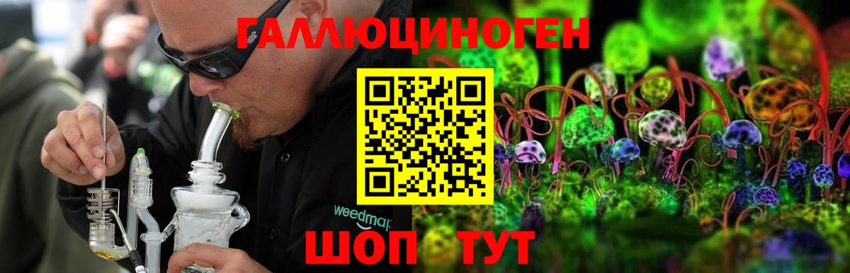 наркота  Вход с VPN  Чистополь  Галлюциногенные грибы Cubensis 